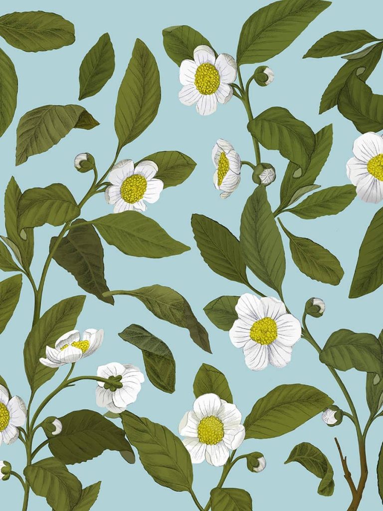 Flowers and leaves