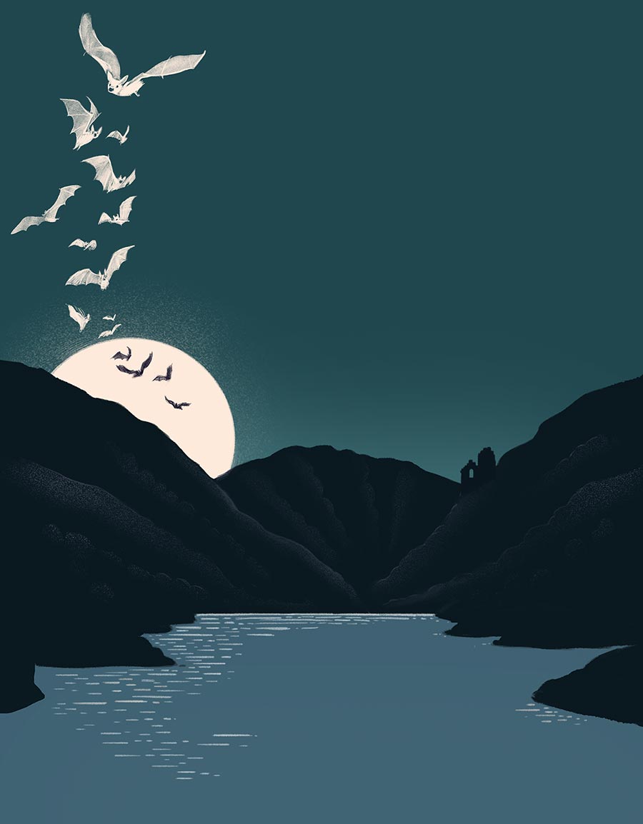 novela, portada, cover art, illustration, Anaya ADN, book cover, Silja goetz, silja götz