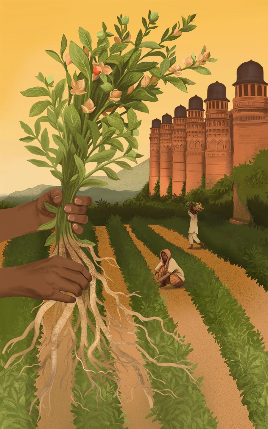illustration, packaging, naturale bio, organic food, supplements, product packaging, soft pack, silja goetz, siljagötz