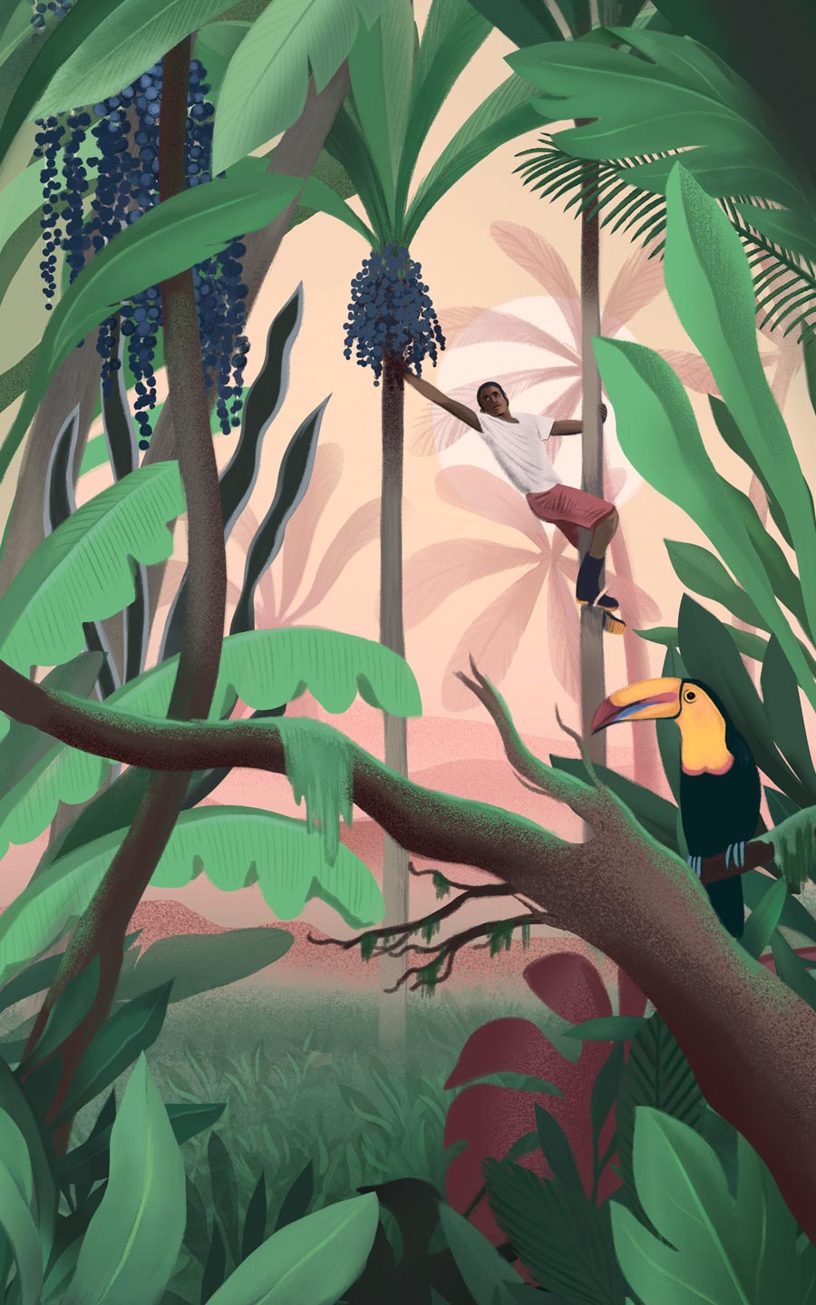 illustration, packaging, naturale bio, organic food, supplements, product packaging, soft pack, silja goetz, siljagötz