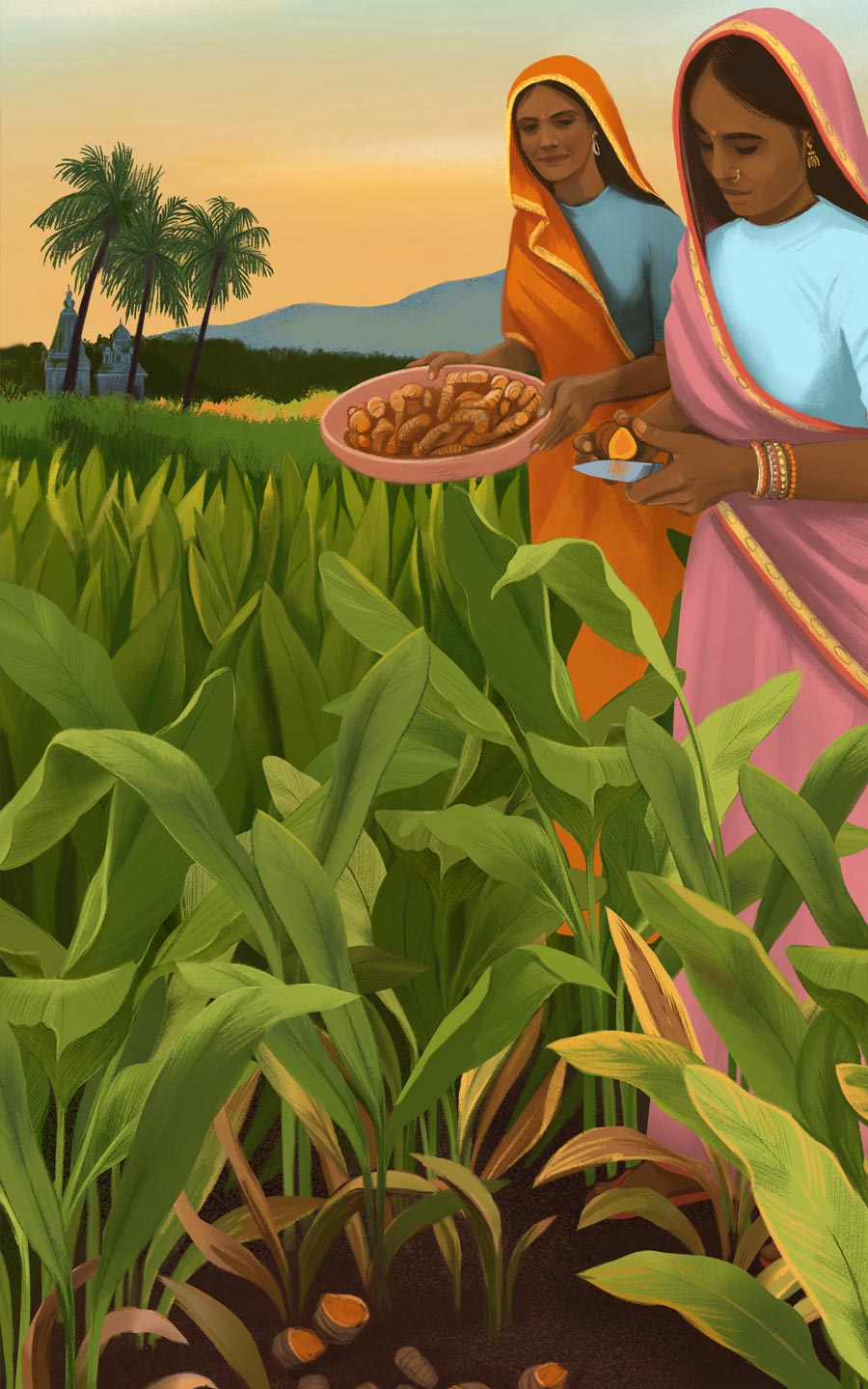 illustration, packaging, naturale bio, organic food, supplements, product packaging, soft pack, silja goetz, siljagötz