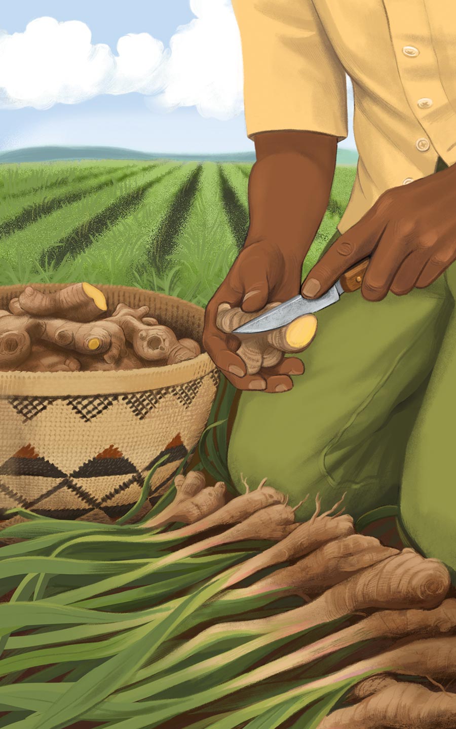 illustration, packaging, naturale bio, organic food, supplements, product packaging, soft pack, silja goetz, siljagötz