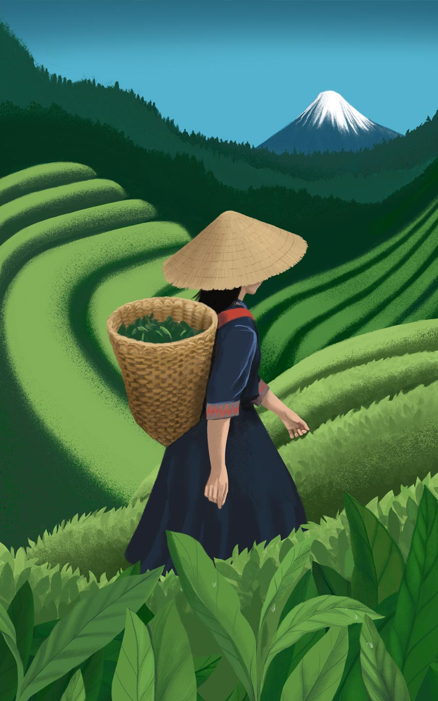 illustration, packaging, naturale bio, organic food, supplements, product packaging, soft pack, silja goetz, siljagötz