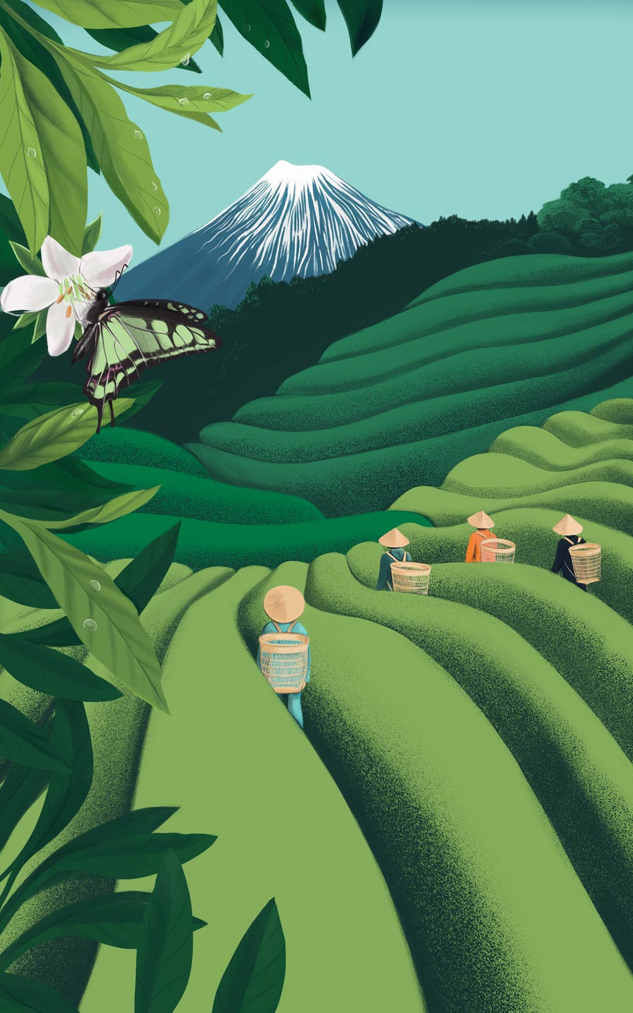 illustration, packaging, naturale bio, organic food, supplements, product packaging, soft pack, silja goetz, siljagötz