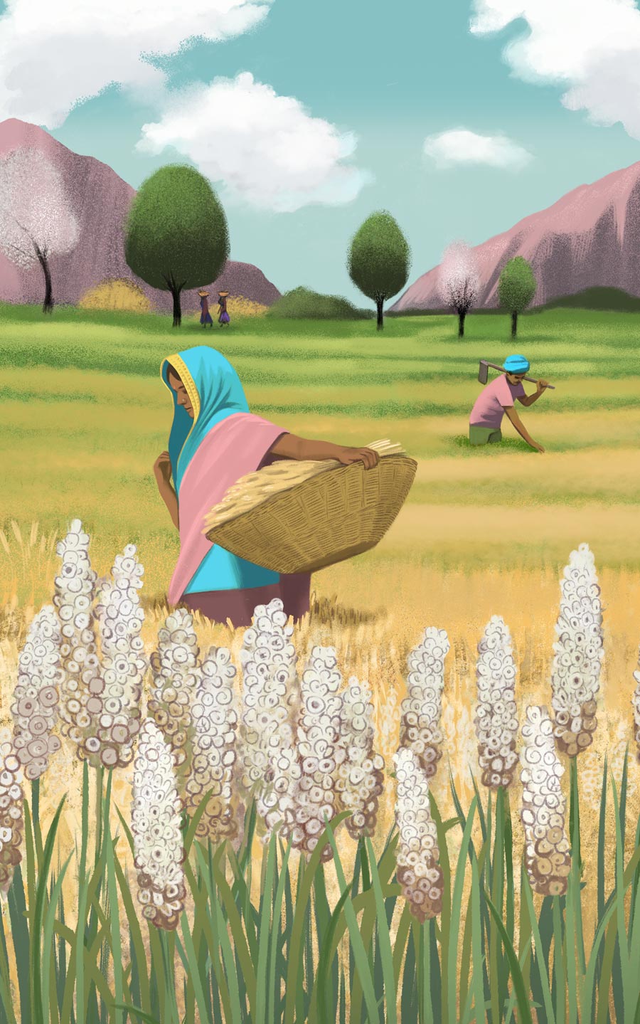 illustration, packaging, naturale bio, organic food, supplements, product packaging, soft pack, silja goetz, siljagötz