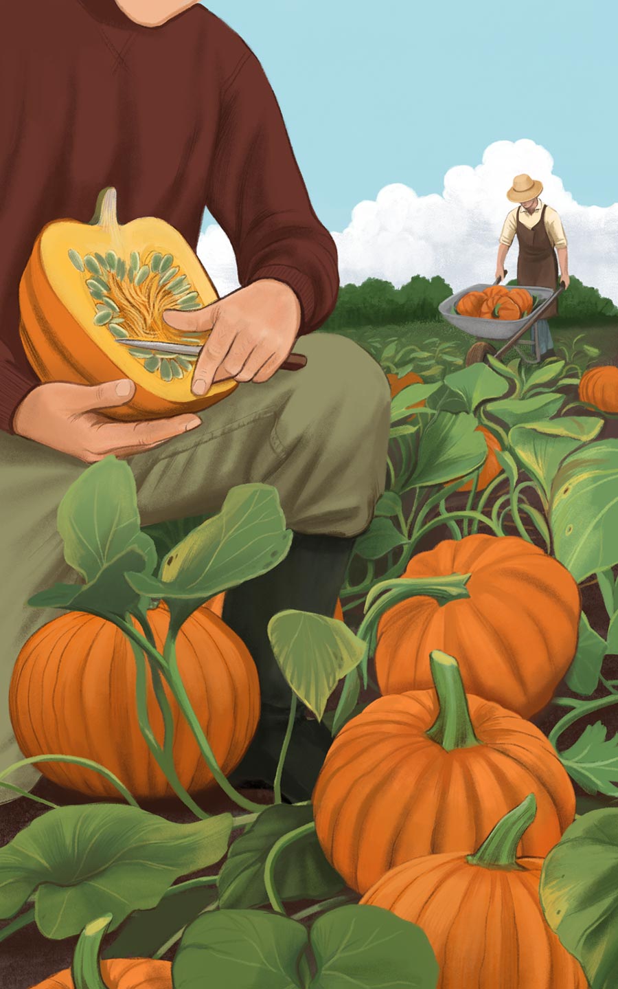 illustration, packaging, naturale bio, organic food, supplements, product packaging, soft pack, silja goetz, siljagötz