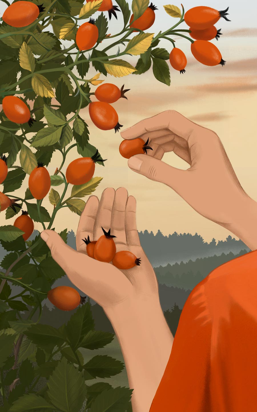 illustration, packaging, naturale bio, organic food, supplements, product packaging, soft pack, silja goetz, siljagötz