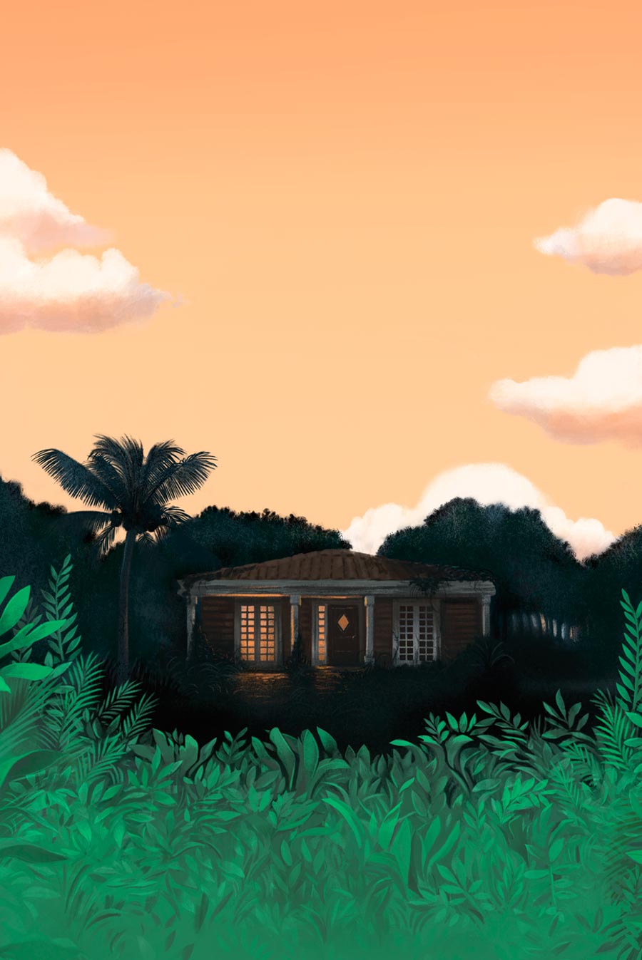Maria del Mar Ramón, La memoria es un aimal esquivo, Anaya ADN , Silja Götz, Silja Goetz, Cover illustration