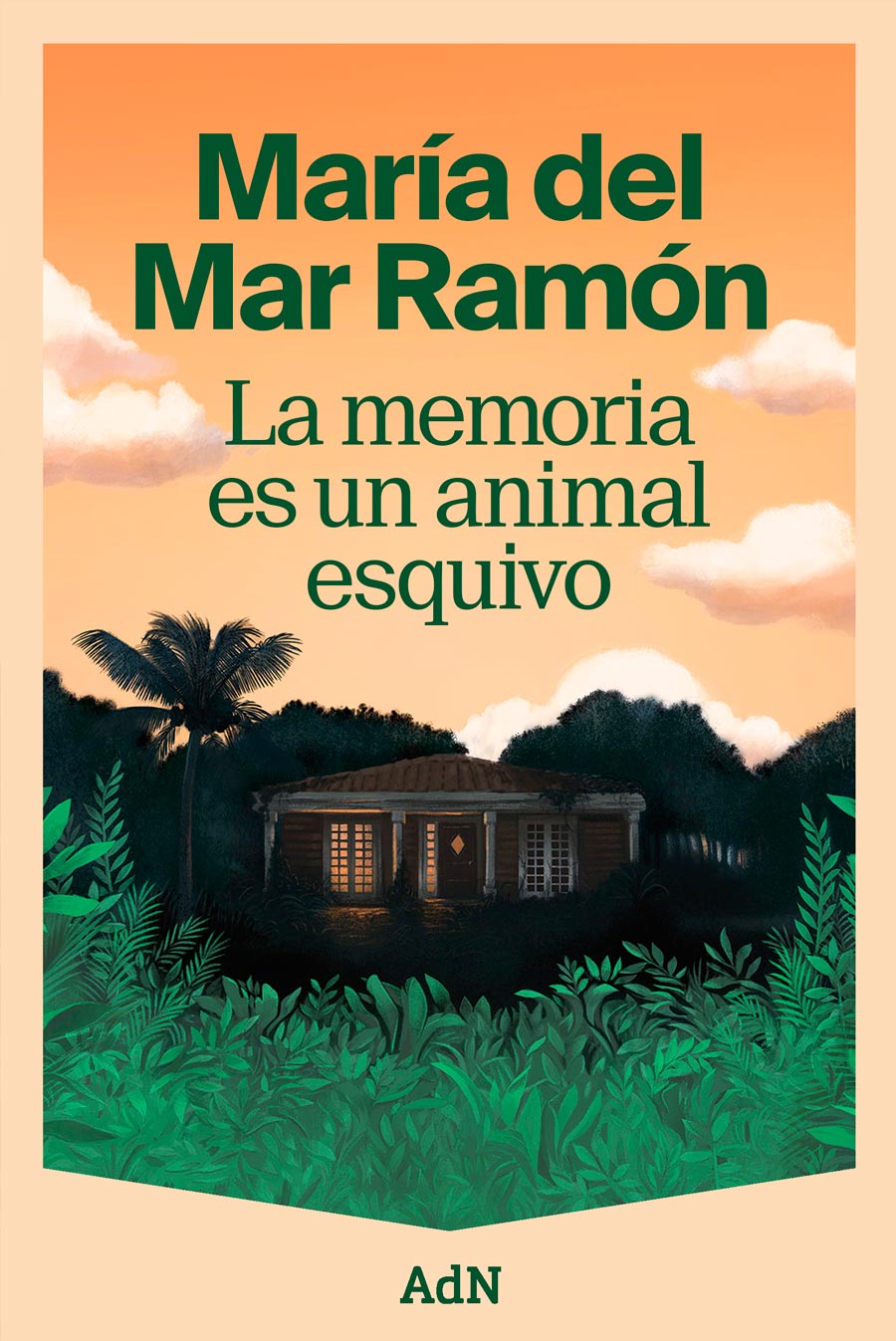 Maria del Mar Ramón, La memoria es un aimal esquivo, Anaya ADN , Silja Götz, Silja Goetz, Cover illustration