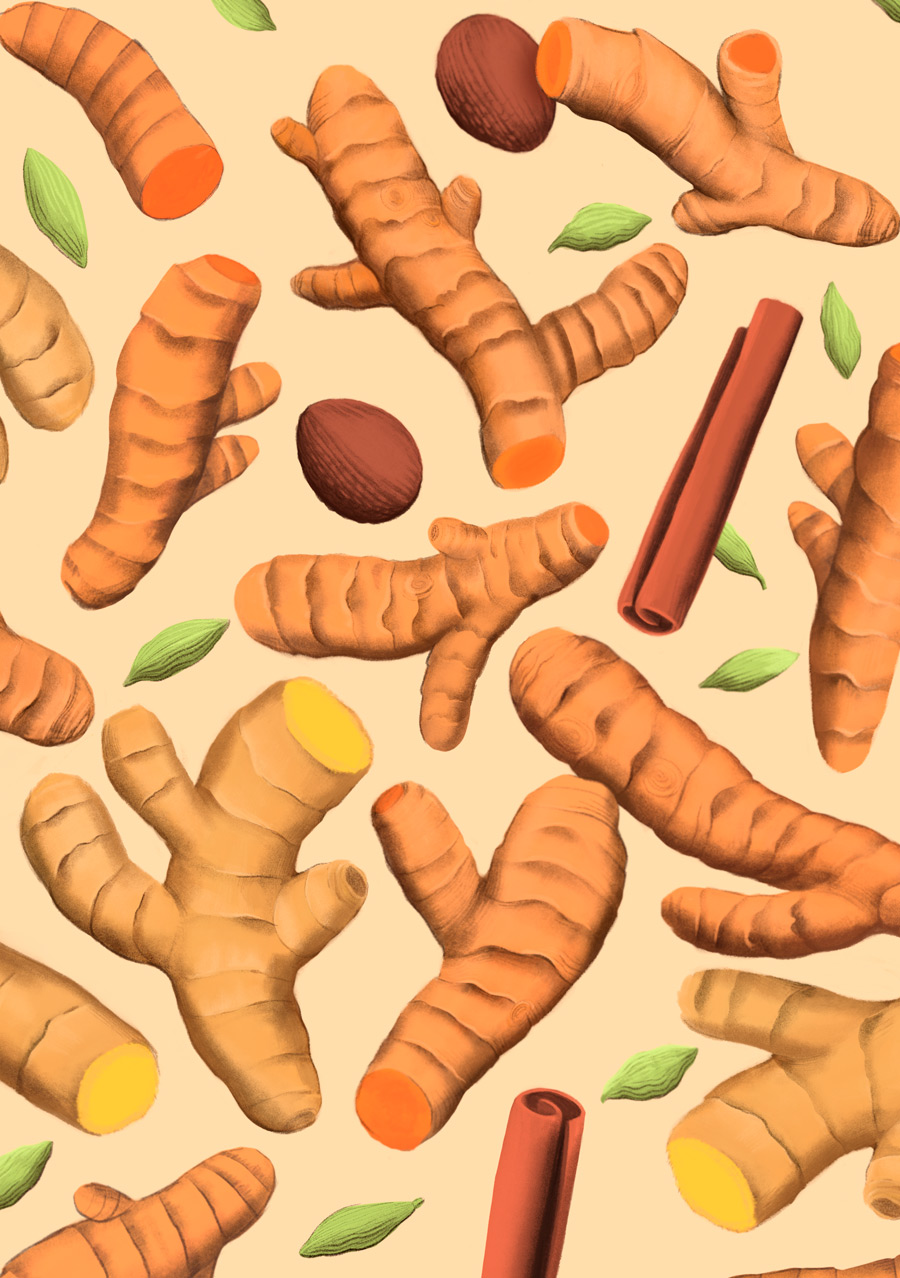 illustration, packaging, naturale bio, organic food, supplements, product packaging, soft pack, silja goetz, siljagötz, blend, ginger, jengibre, cinnamon, nutmeg, golden latte,