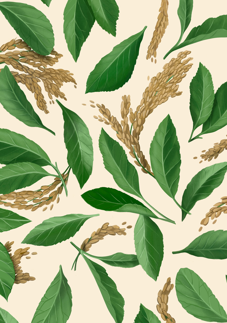 illustration, packaging, naturale bio, organic food, supplements, product packaging, soft pack, silja goetz, siljagötz, blend, green powder, matcha, tea, matcha latte, rice, matcha leaves