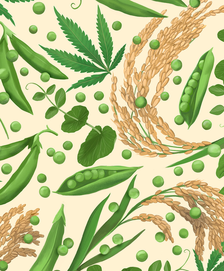 illustration, packaging, naturale bio, organic food, supplements, product packaging, soft pack, silja goetz, siljagötz, blend, protein blend, rice, hemp, peas, green