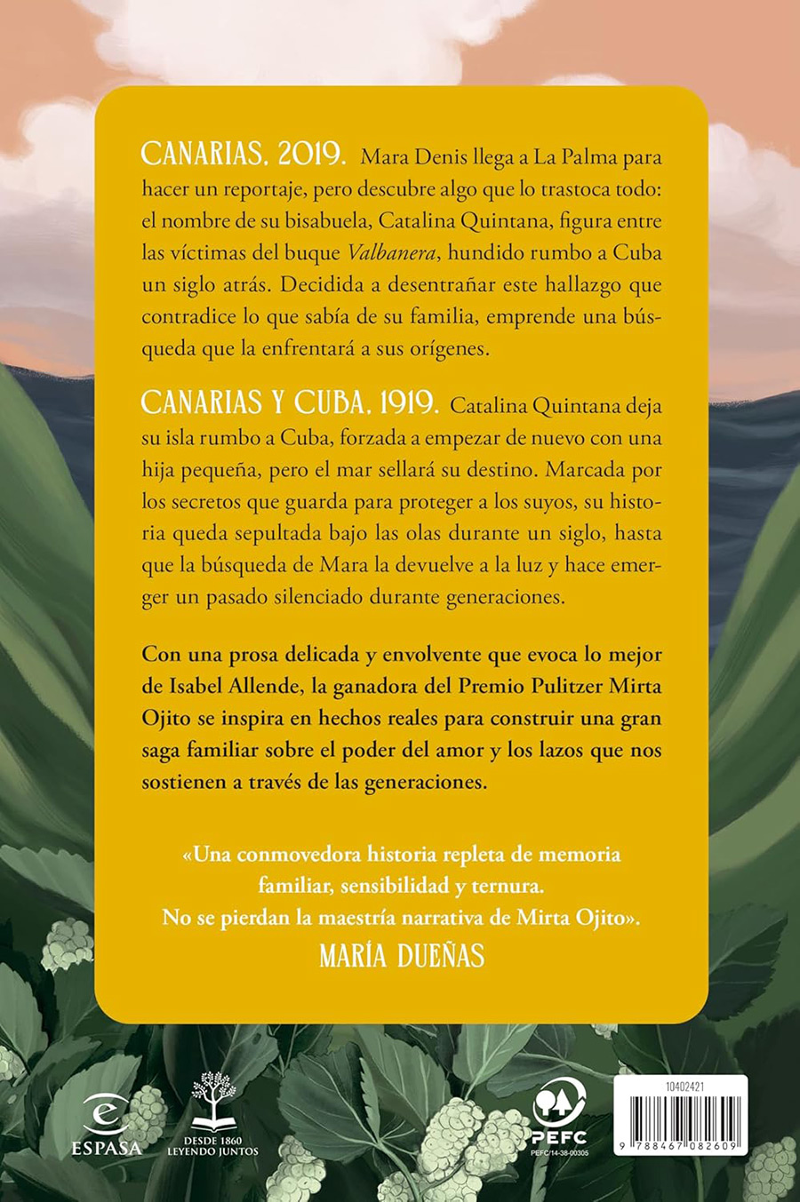 cover for Memoria de las Olas by author Mirta Rojo